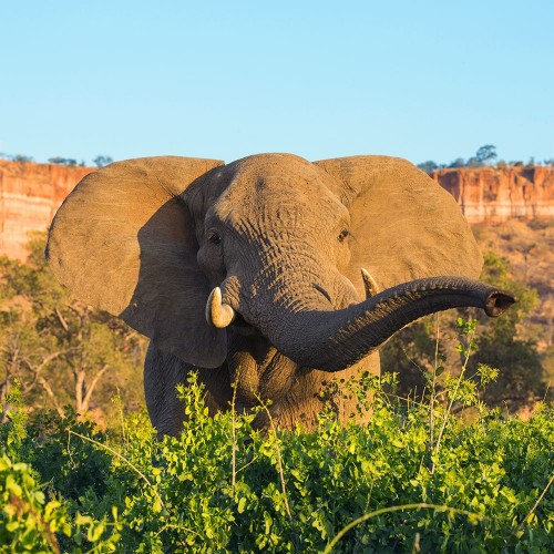 Gonarezhou National Park