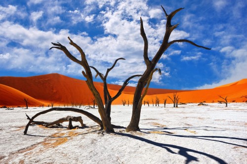 Sossusvlei and Deadvlei