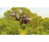 Tarangire Treetops -safari to africa accommodation