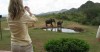 Ngulia Safari Lodge