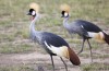 Amboseli National Park
