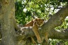 Queen Elizabeth National Park