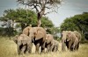Tarangire National Park
