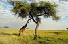 Serengeti National Park
