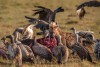 Serengeti National Park
