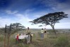 Kirurumu Serengeti National Park Camp