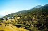 Mountain Meru