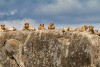 Serengeti National Park