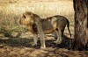Tarangire National Park