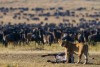 Maasai Mara National Reserve