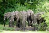 Lake Manyara National Park