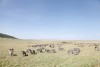 Masai Mara