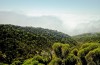 Mountain Meru
