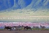 Ngorongoro National Park