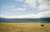 Ngorongoro Crater