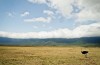 Ngorongoro Crater