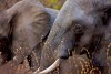 Kitulo National Park 