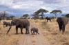 Kitulo National Park 