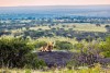 Lion lying on rocks and roars, Serengeti National Park