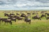 Serengeti National Park