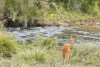 Aberdare National Park