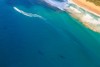 Aerial view of whale during migration. St. Lucia, iSimangaliso Wetland Park