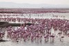Amboseli National Park