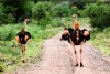 Tsavo West National Park