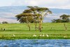 Lake Naivasha