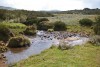 Aberdare National Park