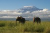 Amboseli National Park