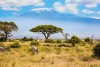 Amboseli National Park