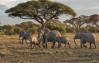 Amboseli National Park