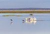 Amboseli National Park