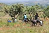 A quad bike adventure in Johannesburg