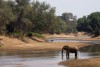 Kruger National Park