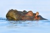 Lake Naivasha