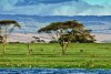 The shore of Lake Naivasha in Kenya