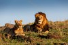 Masai Mara