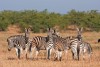 Kruger National Park