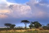 Lake Edward in Queen Elizabeth National Park, Uganda