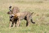 Ol Pejeta
