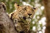 Kruger National Park