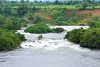 Waterside scenery showing the River Nile near Jinja in Uganda