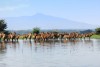 Lake Naivasha