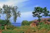 Village on the shores of Lake Victoria in Uganda