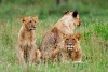 Lake Nakuru National Park
