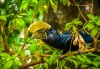 Lake Manyara National Park