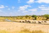Tarangire National Park