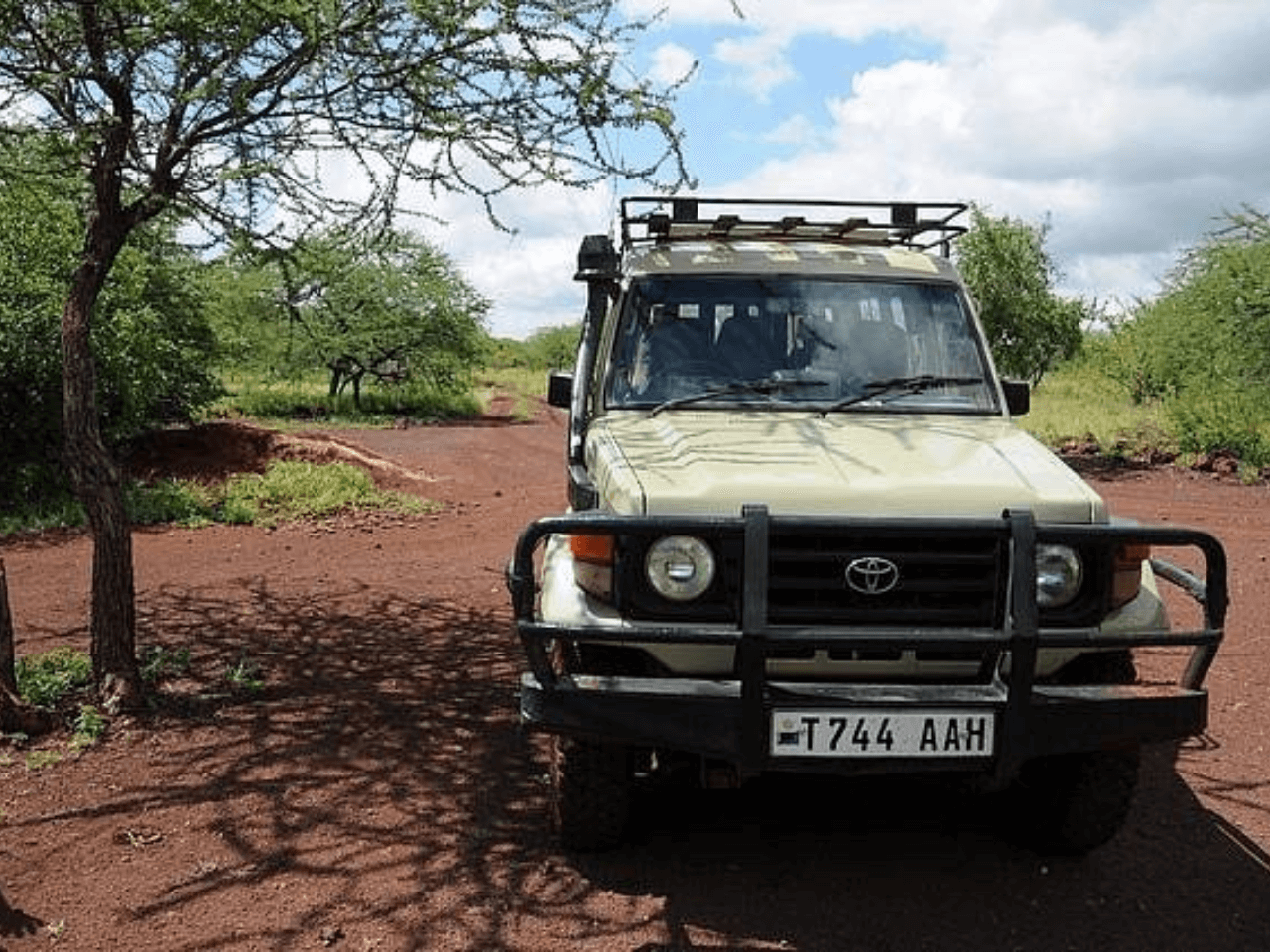 Safari Vehicles